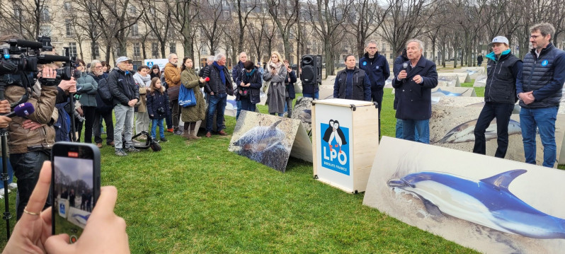 Discours d'Allain Bougrain-Dubourg concernant le massacre des dauphins