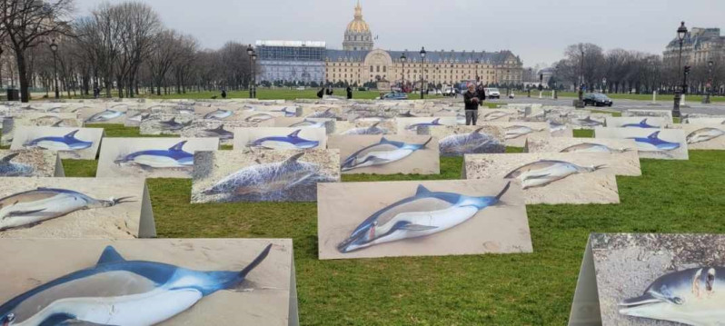 Exposition de la LPO sur le massacre des dauphins