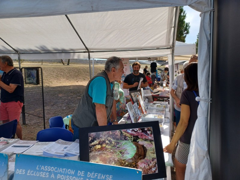 Fête des associations 2023