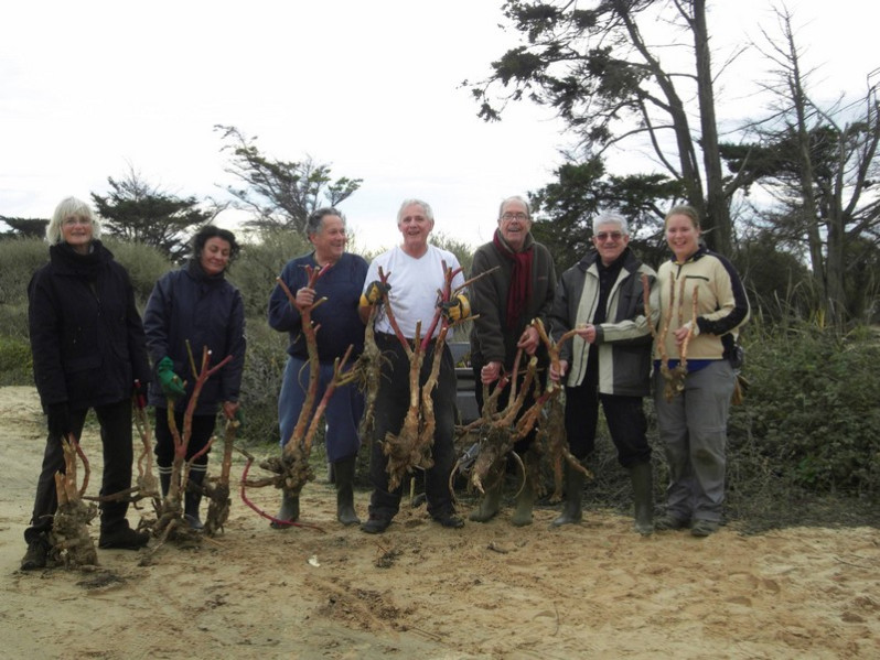 Une belle journée d'arrache de Phytolacca americana, en compagnie du Professeur