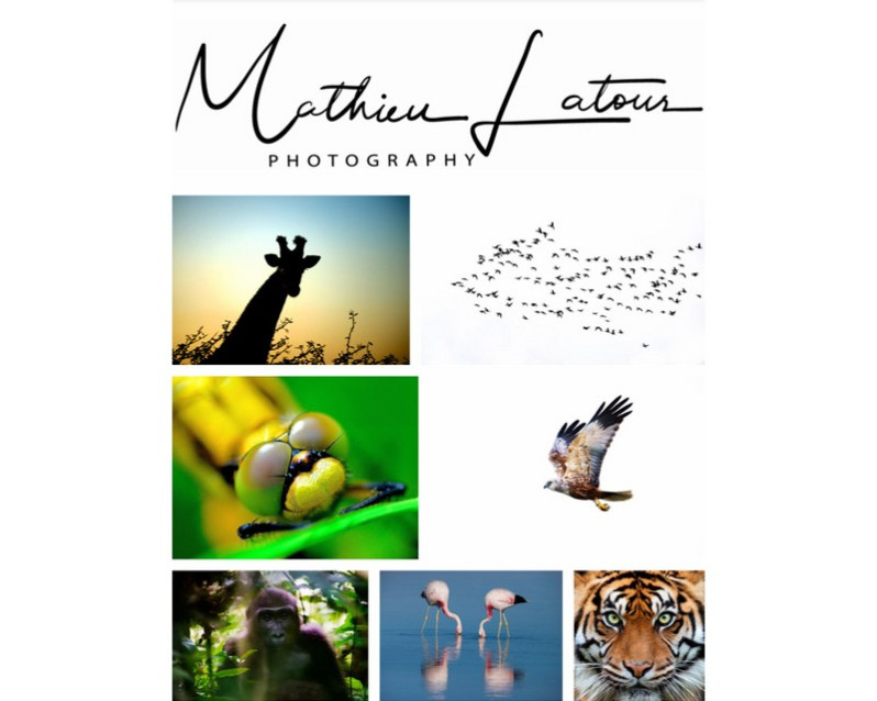 Conférence sur la photographie animalière et le monde sauvage