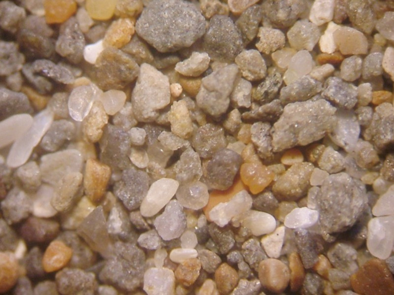 Grains non usés