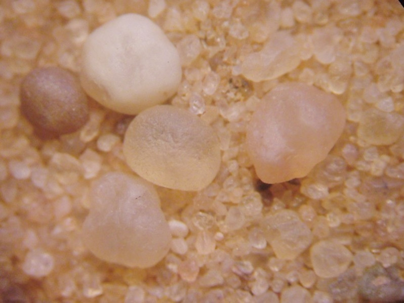 Grains ronds mats